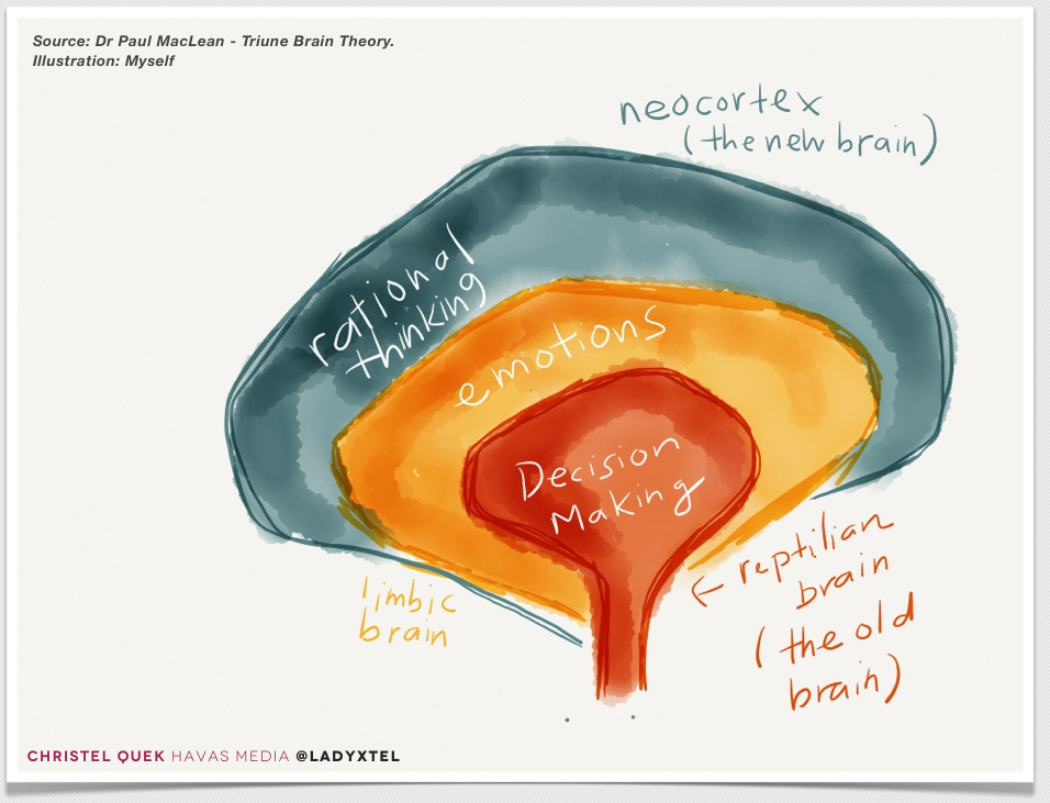 decision-making-emotional-rational-brain.png